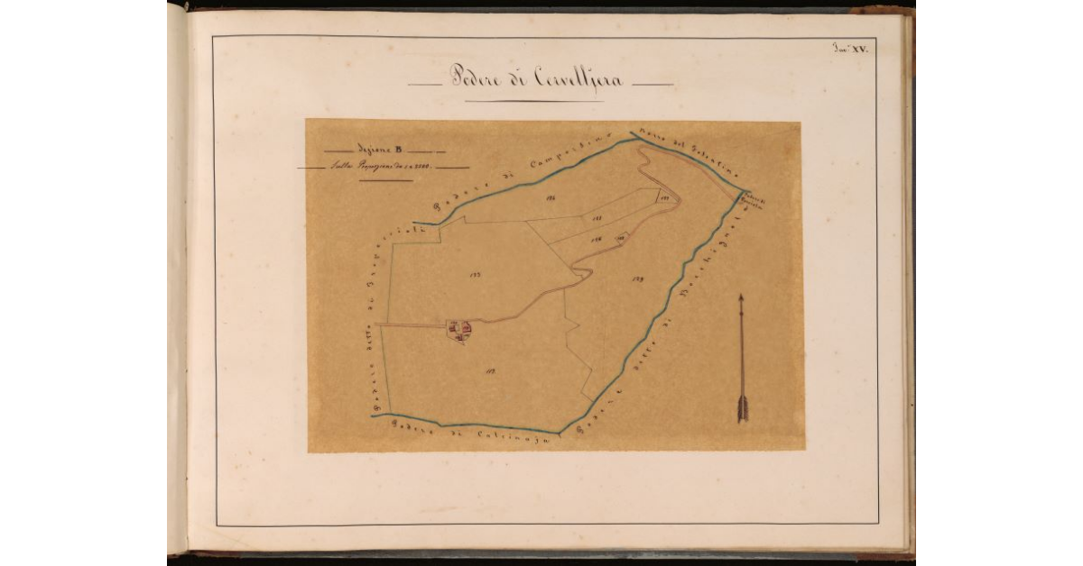 Podere di Cervelljera