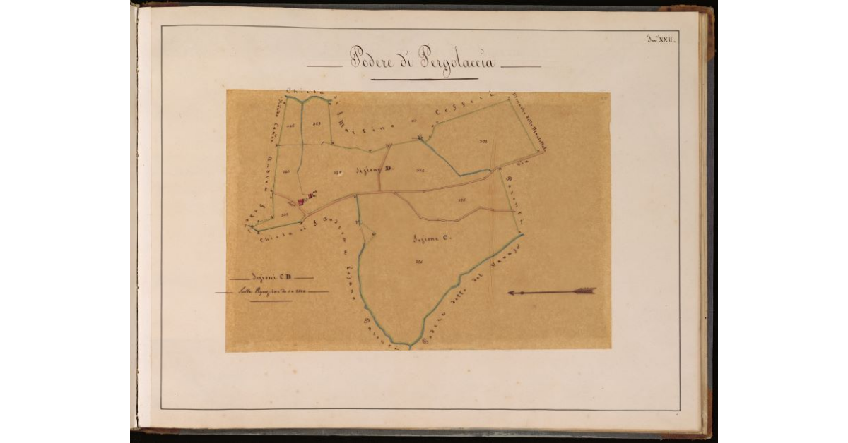 Podere di Pergolaccia