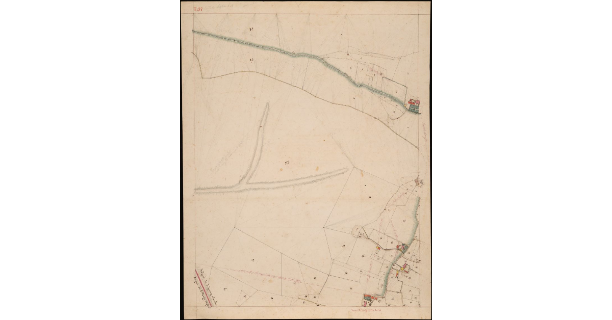 T. 77 [Quinto Circondario]