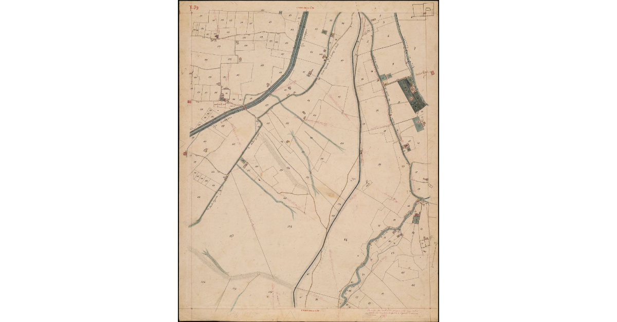 T. 79 [Quinto Circondario]