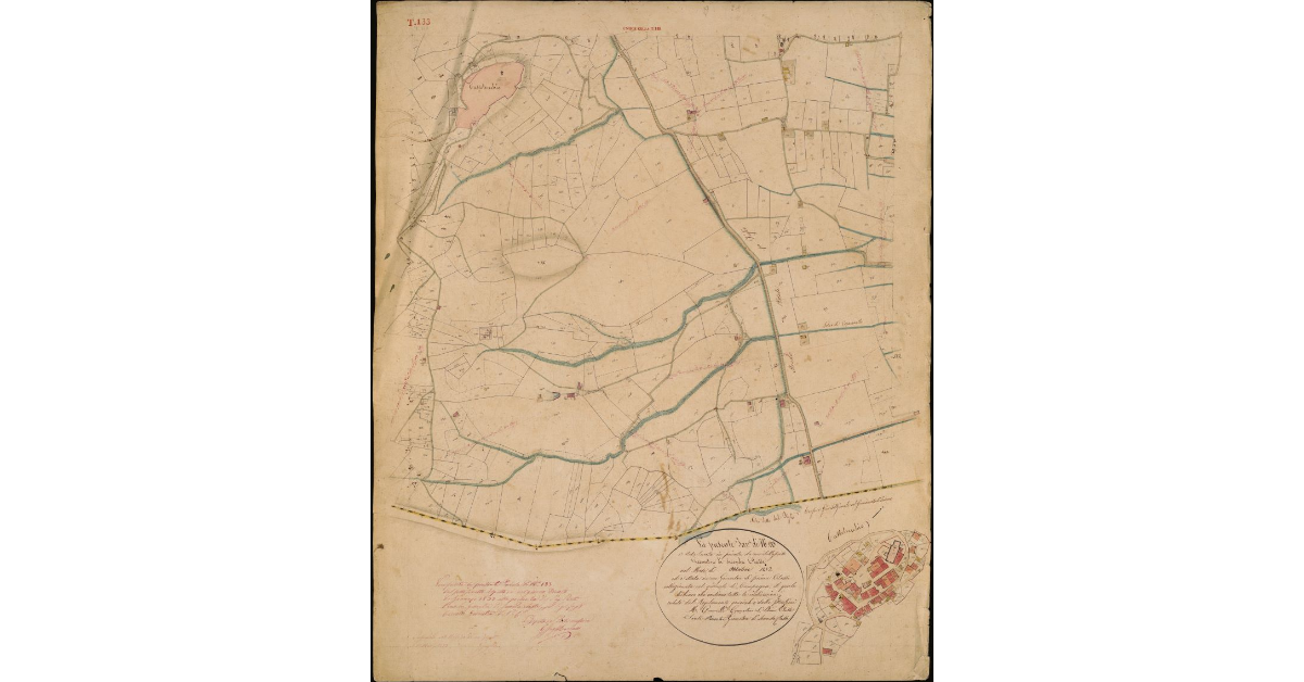 T. 133 [Quinto Circondario]