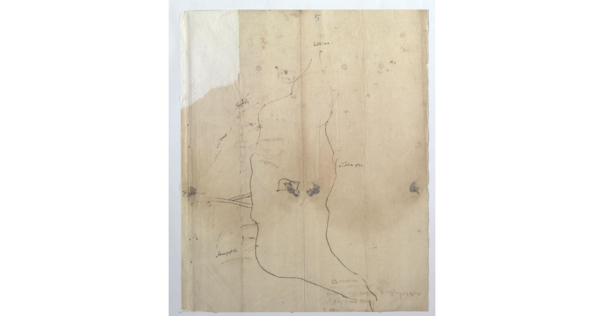 [Profilo del lago di Sesto o Bientina]