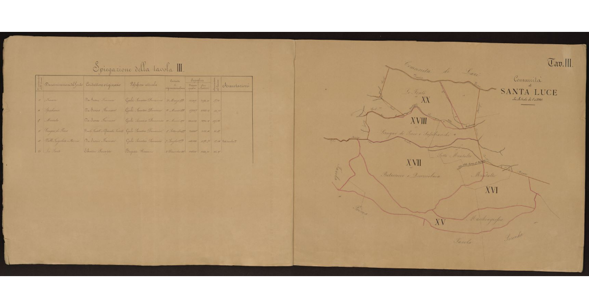 Tavola III [dei beni livellari della Comunità di Santa Luce]