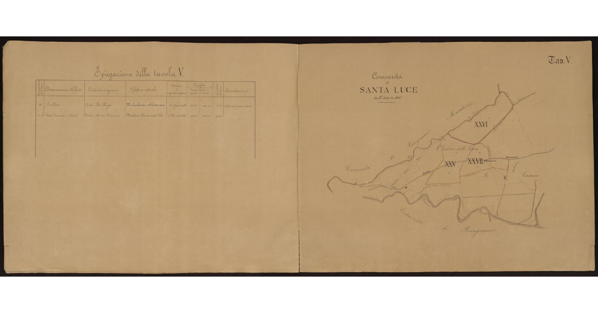 Tavola V [dei beni livellari della Comunità di Santa Luce]