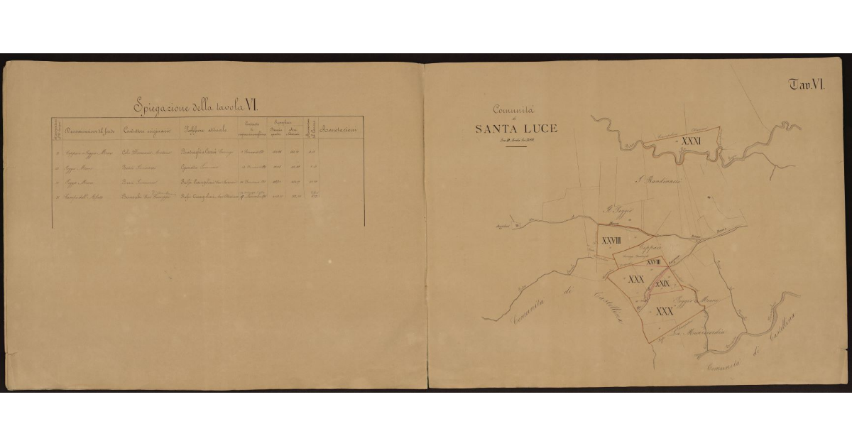 Tavola VI [dei beni livellari della Comunità di Santa Luce]