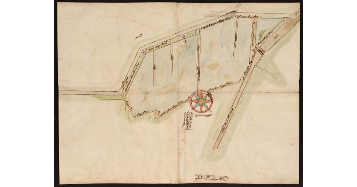 [Progetto di bonifica dell'area adiacente al fosso di Pisa]