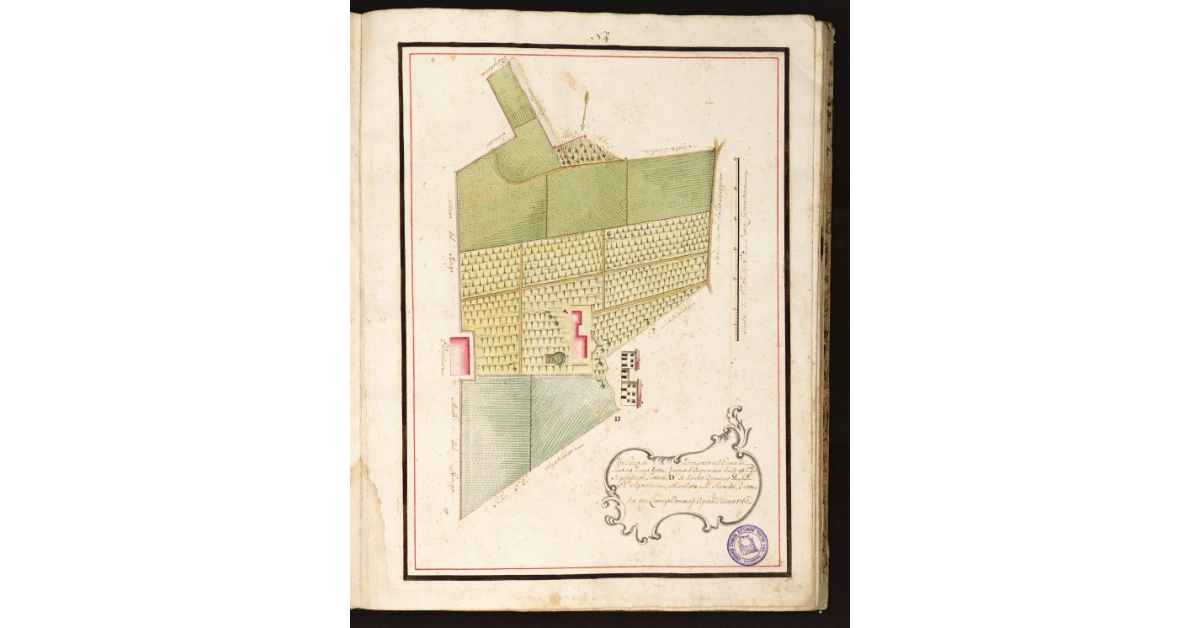 [Pianta Brandi con Termini quattro con Marca simile]