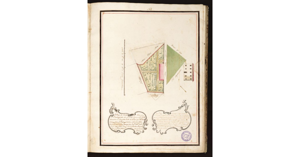 [Pianta Camorani con Termini uno con marca simile]