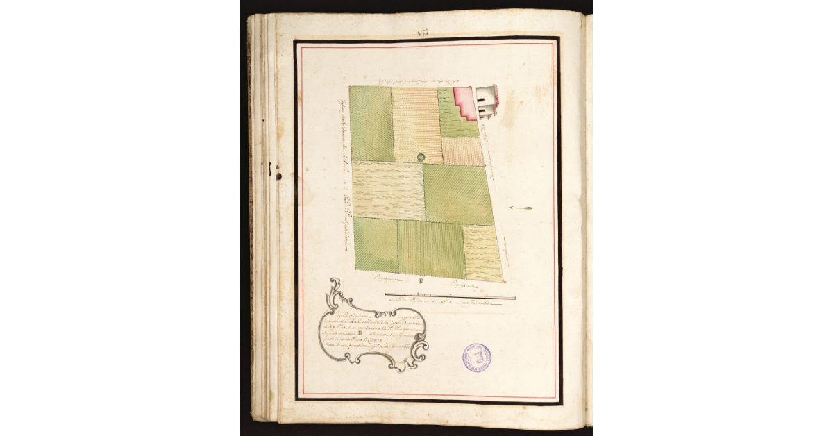 [Pianta Desideri con Termini tre, uno con Marca simile e con due colla presente Marca]