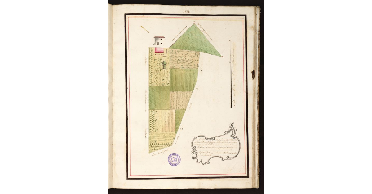 [Pianta Foci con Termini due con la presente Marca]