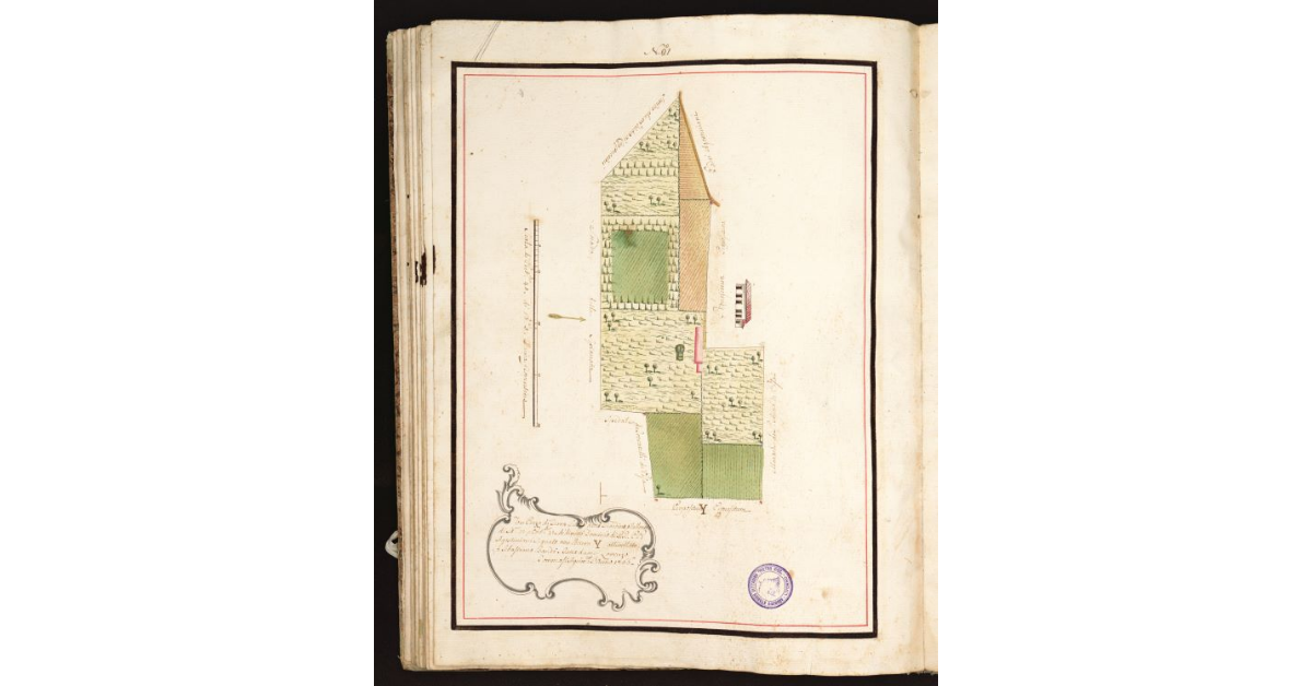 [Pianta Banti con Termini quattro con Marca simile]