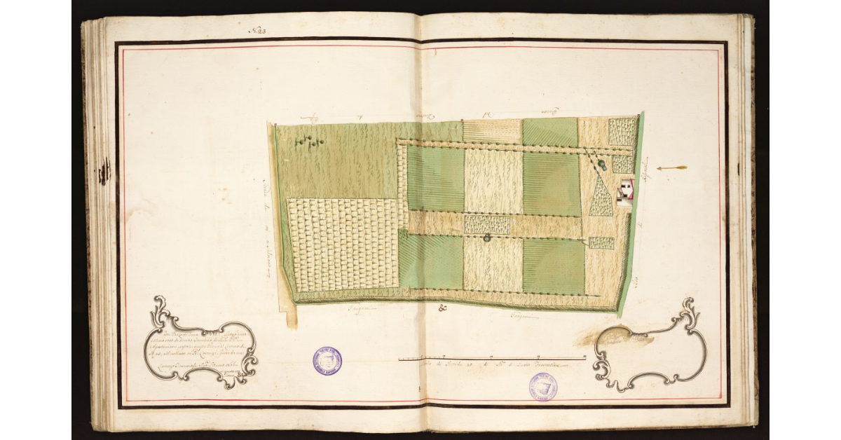 [Pianta Lorenzi con Termini tre colla presente Marca]