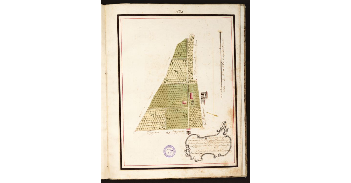 [Pianta Cosacci con Termini tre con Marca simile]