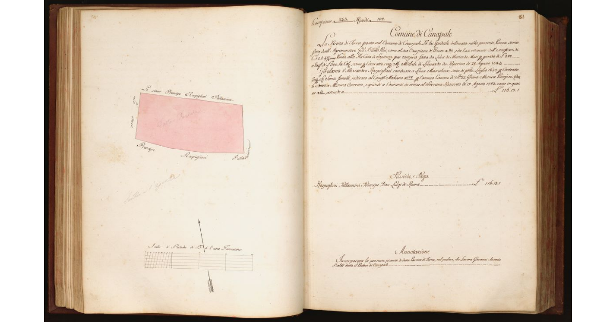 [Pianta di una partita di terra situata in località "lo Spedale" nel Comune di Canapale]