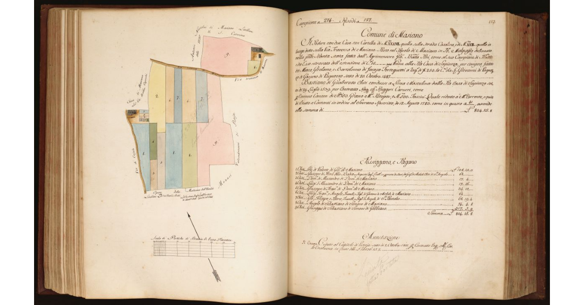 [Pianta di un podere con due case situato in località "Malpasso" nel Comune e Popolo di Masiano]
