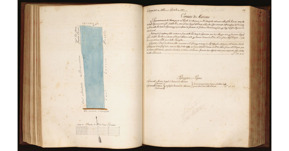 [Pianta di un appezzamento di terreno situato in località "Carrajola" nel Comune e Popolo di Masiano]