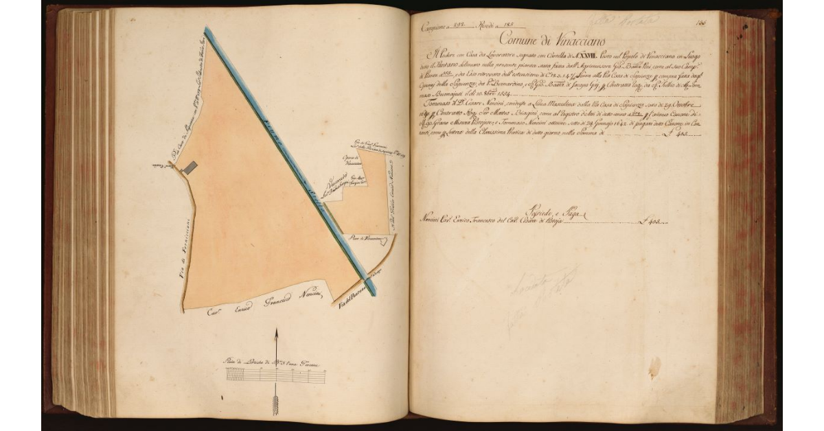 [Pianta di un podere con casa da lavoratore situato lungo il fiume Stella in località "il Pantano" nel Comune e Popolo di Vinacciano]