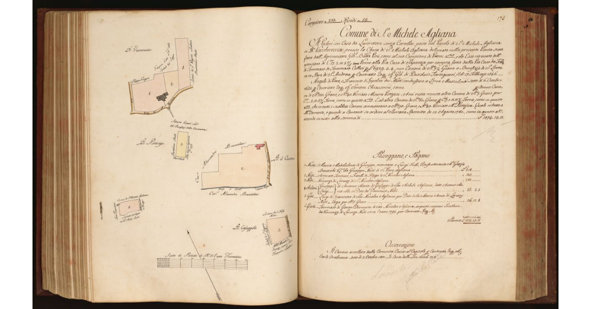 [Pianta di alcuni degli appezzamenti che compongono un podere con casa da lavoratore situato nel Comune e Popolo di S. Michele Agliana]