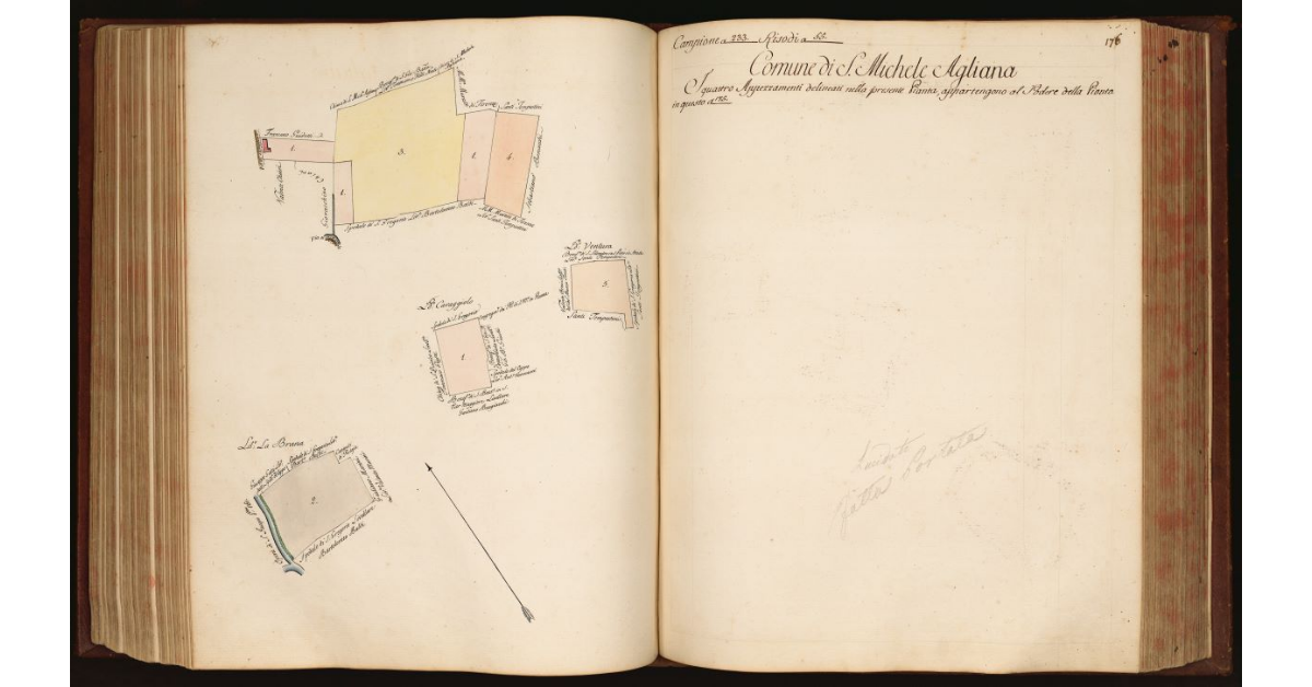 [Pianta di quattro appezzamenti che compongono un podere situato nel Comune e Popolo di S. Michele Agliana]
