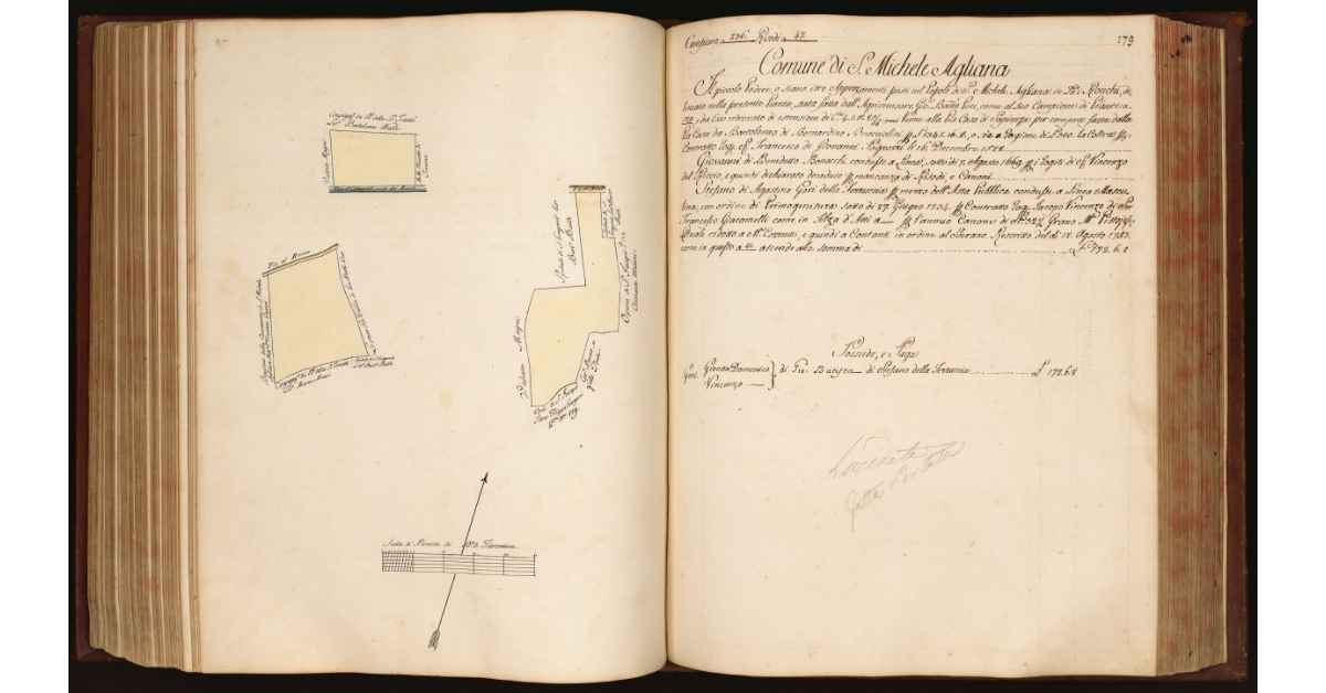 [Pianta di un piccolo podere situato in località "i Ronchi" nel Comune e Popolo di S. Michele Agliana]