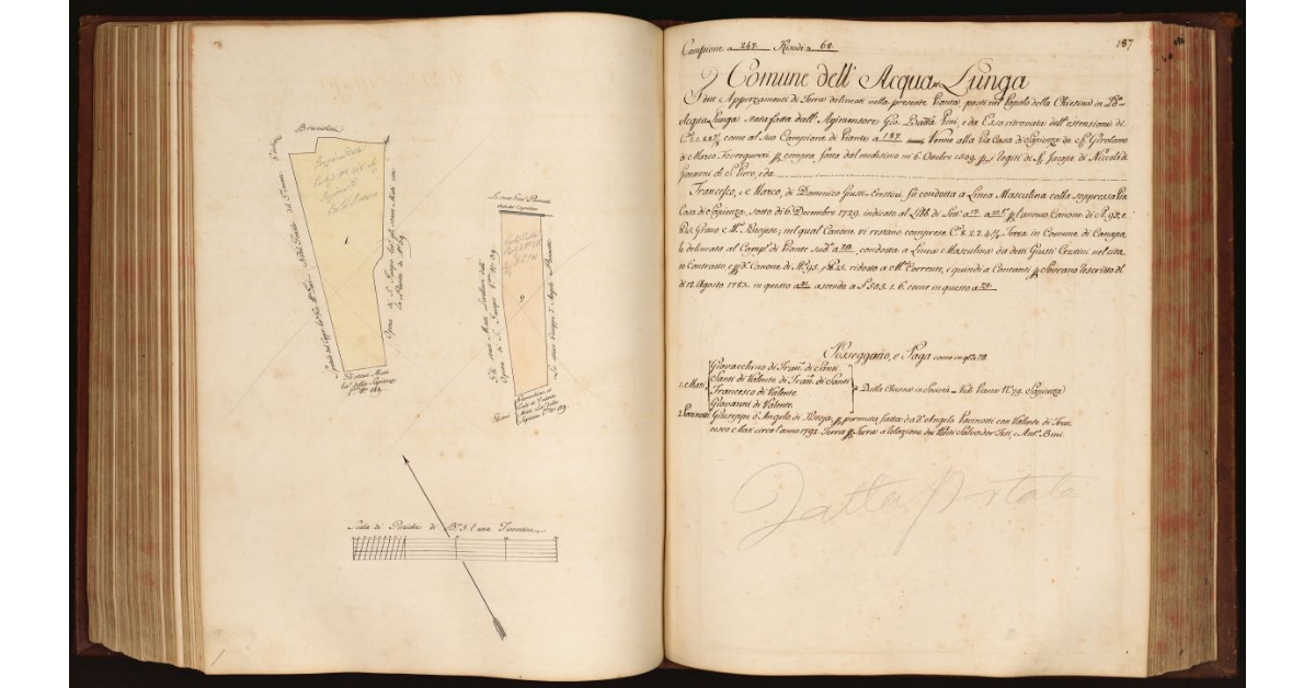 [Pianta di due appezzamenti di terreno situati in località "Acqua Lunga" nel Comune dell’Acqua Lunga, Popolo della Chiesina]