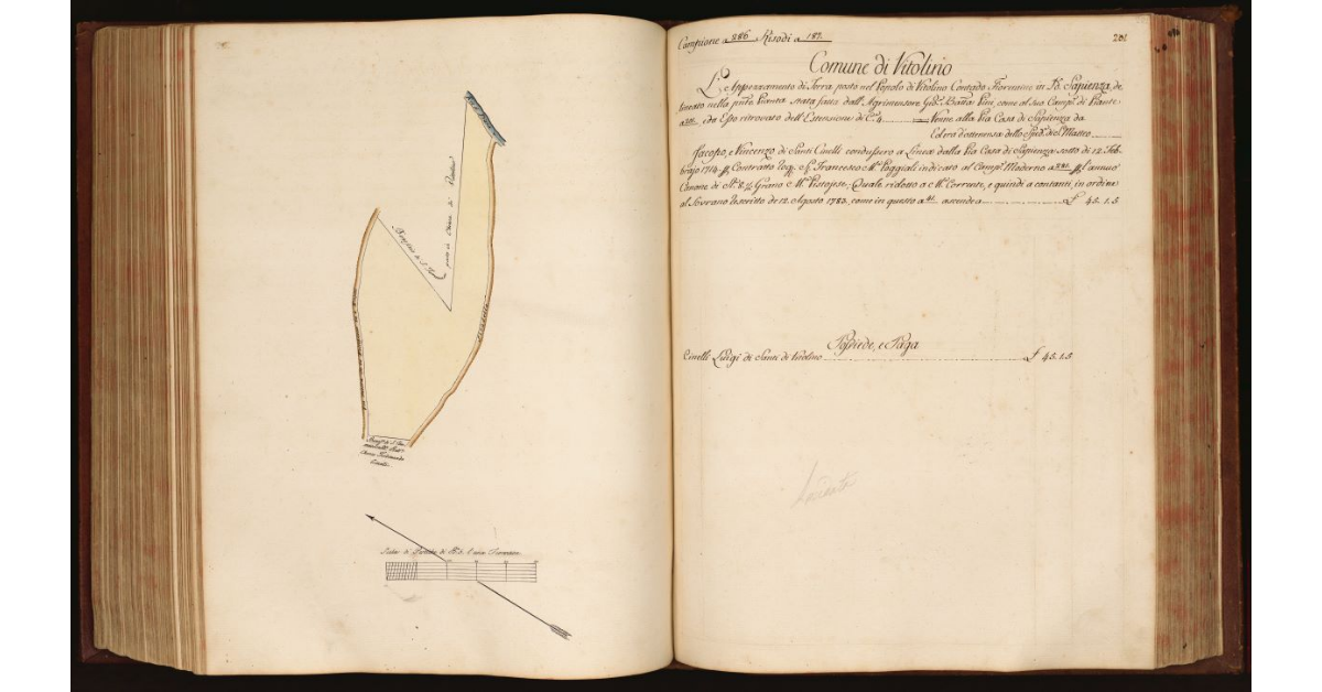 [Pianta di un appezzamento di terreno situato in località "Sapienza", nel Comune e Popolo di Vitolino]