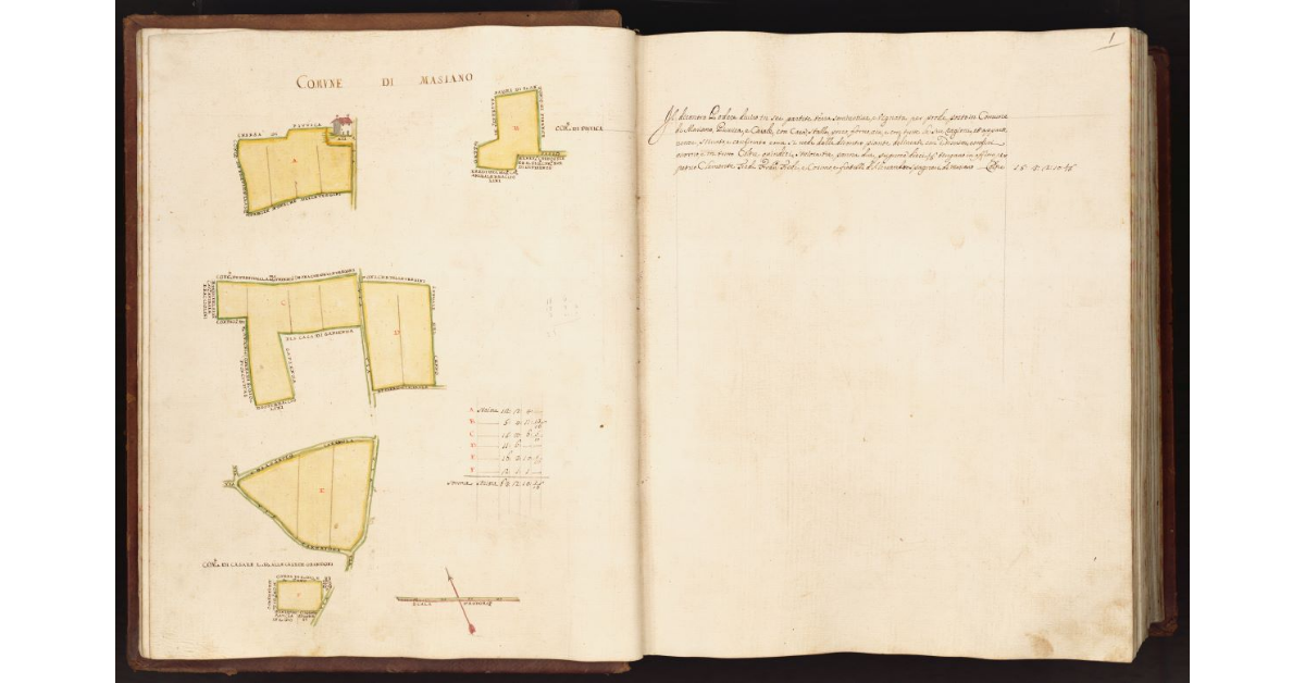 [Pianta di un podere situato nei comuni di Masiano, Piuvica e Casale]
