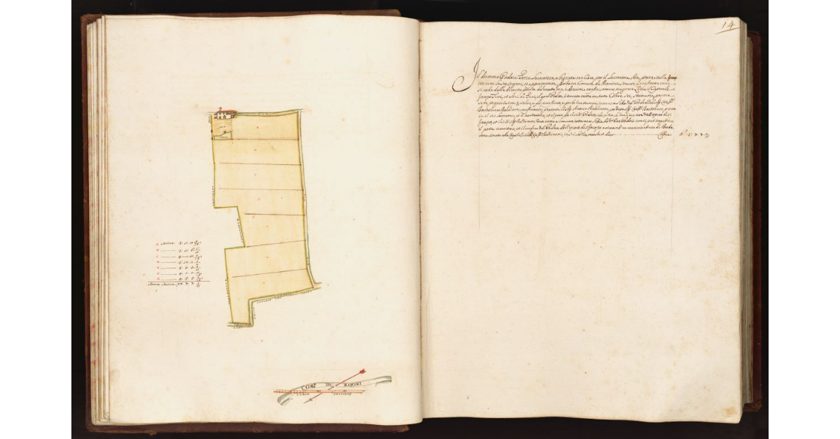 [Pianta di un podere situato nel comune di Ramini]