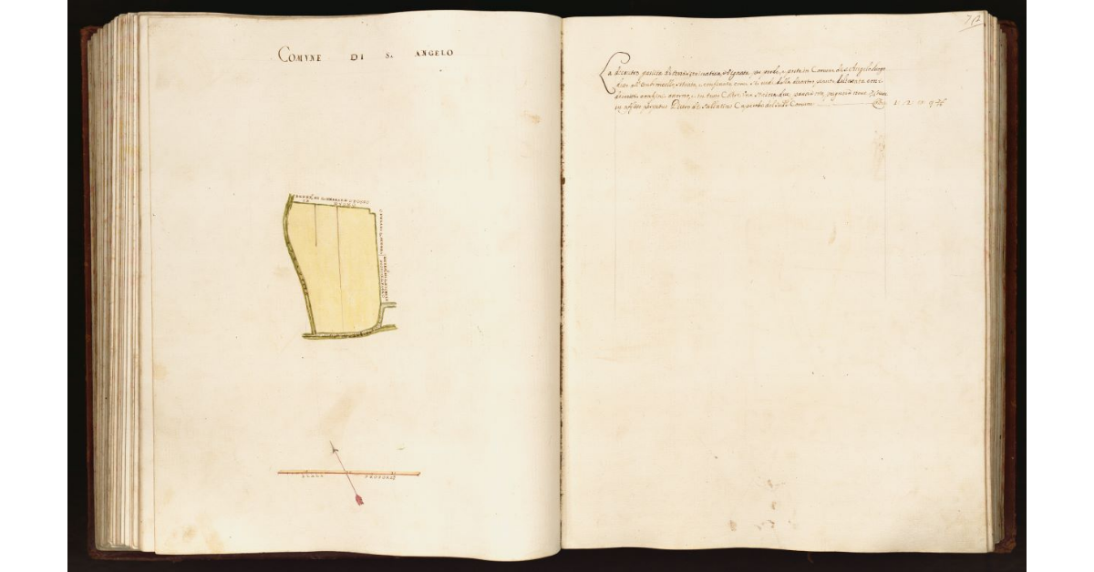 [Pianta di una partita di terra situata nel comune di S. Angelo]