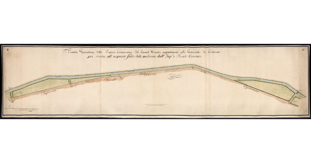 Pianta geometrica delle praterie comunanze del Canal Maestro appartenenti alla comunità di Cortona per servire all’acquisto fatto delle medesime dall’Imperiale e Reale Corona