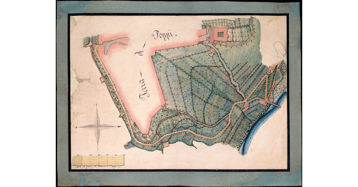 [Pianta della collina tra Poppi e il fiume Arno]