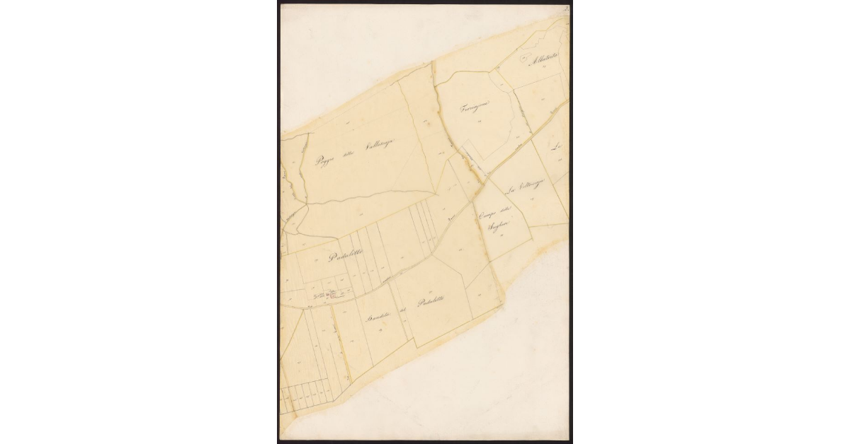 Andamento della Via Emilia nelle Comunità di Gherardesca e Bibbona dal ponte sulla Cecina al Fitto per le tenute Gherardesca e Alliata fino alla Torre San Vincenzo...[Foglio 2]