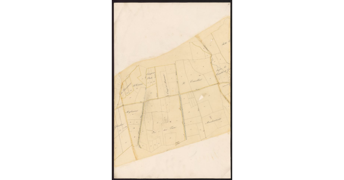 Andamento della Via Emilia nelle Comunità di Gherardesca e Bibbona dal ponte sulla Cecina al Fitto per le tenute Gherardesca e Alliata fino alla Torre San Vincenzo...[Foglio 3]