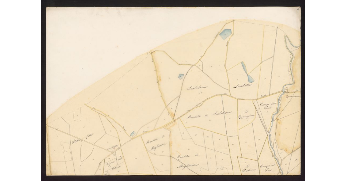 Andamento della Via Emilia nelle Comunità di Gherardesca e Bibbona dal ponte sulla Cecina al Fitto per le tenute Gherardesca e Alliata fino alla Torre San Vincenzo...[Foglio 6]