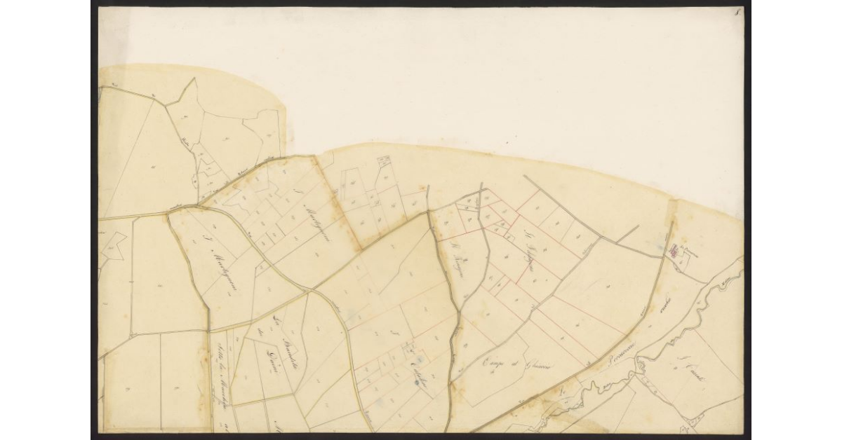 Andamento della Via Emilia nelle Comunità di Gherardesca e Bibbona dal ponte sulla Cecina al Fitto per le tenute Gherardesca e Alliata fino alla Torre San Vincenzo...[Foglio 8]