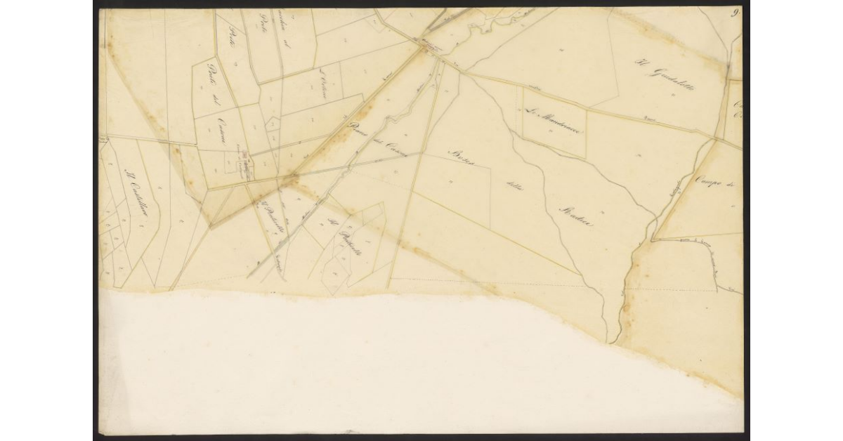 Andamento della Via Emilia nelle Comunità di Gherardesca e Bibbona dal ponte sulla Cecina al Fitto per le tenute Gherardesca e Alliata fino alla Torre San Vincenzo...[Foglio 9]