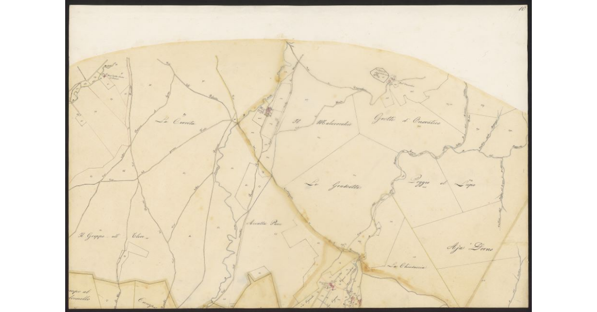 Andamento della Via Emilia nelle Comunità di Gherardesca e Bibbona dal ponte sulla Cecina al Fitto per le tenute Gherardesca e Alliata fino alla Torre San Vincenzo...[Foglio 10]