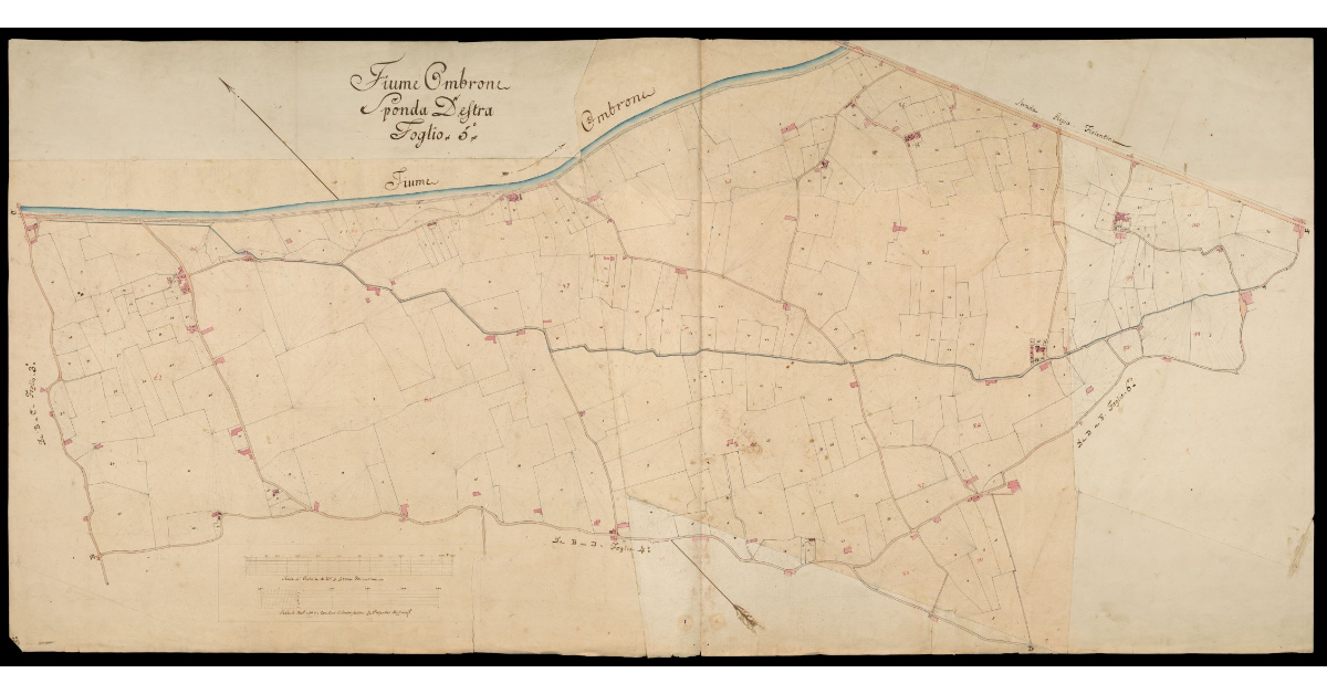 Fiume Ombrone sponda destra Foglio 5°