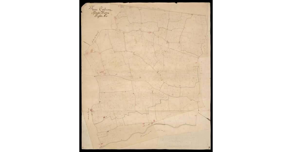 Fiume Ombrone sponda destra Foglio 6°