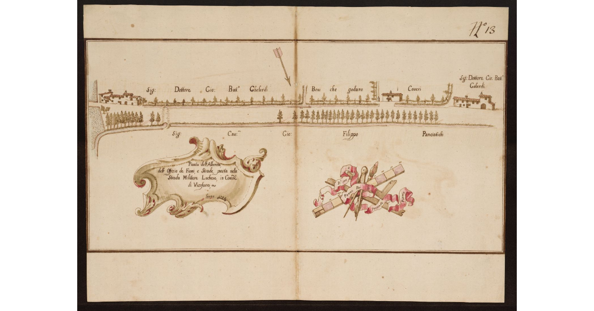 Pianta dell'Albereta dell'Offizio de Fiumi e Strade, posta nella Strada Militare Luchese, in Comune di Vicofarro