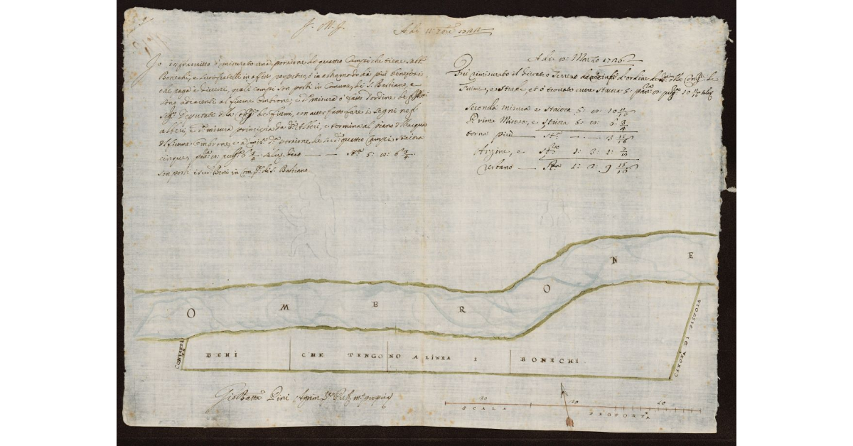 [Pianta di cinque campi posti lungo l'Ombrone Nuovo nel Comune di San Bastiano]