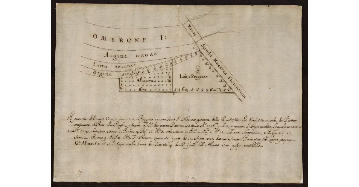 [Pianta dell'Ombrone Nuovo nel Pistoiese con i terreni delle Monache di Mercuriale di Pistoia posti al Ponte alla Pergola accanto alla Strada Fiorentina]