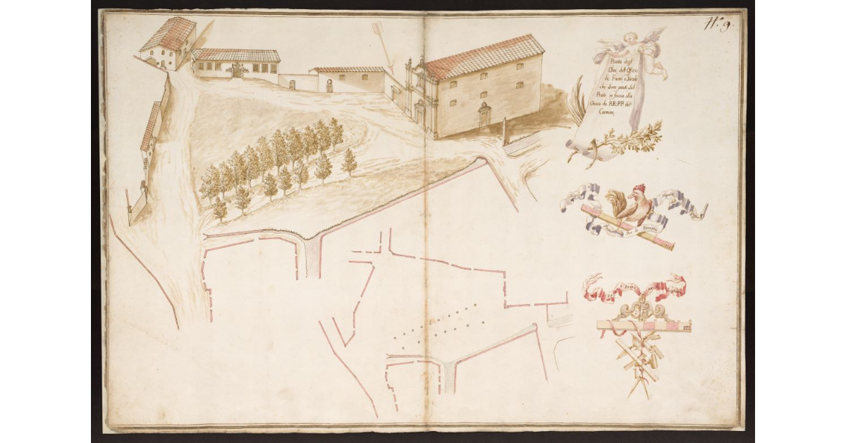 Pianta degl'Olmi dell'Offizio de Fiumi e Strade che sono posti sul Prato, in faccia alla chiesa de RR. PP. del Carmine