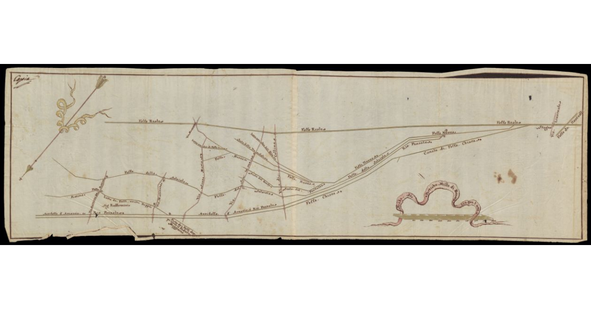 [Pianta della Pianura di Coltano con il sistema dei canali]