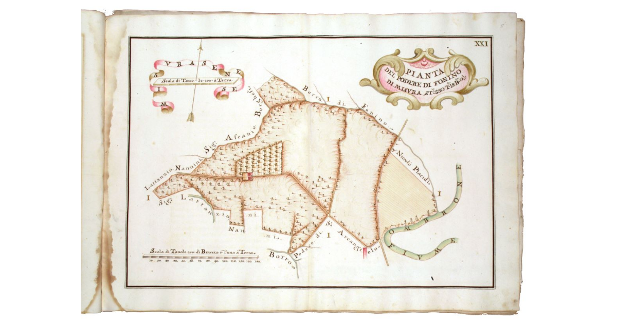 Pianta del podere di Fonino di staia 358, tavole 15 e braccia 8 1/2