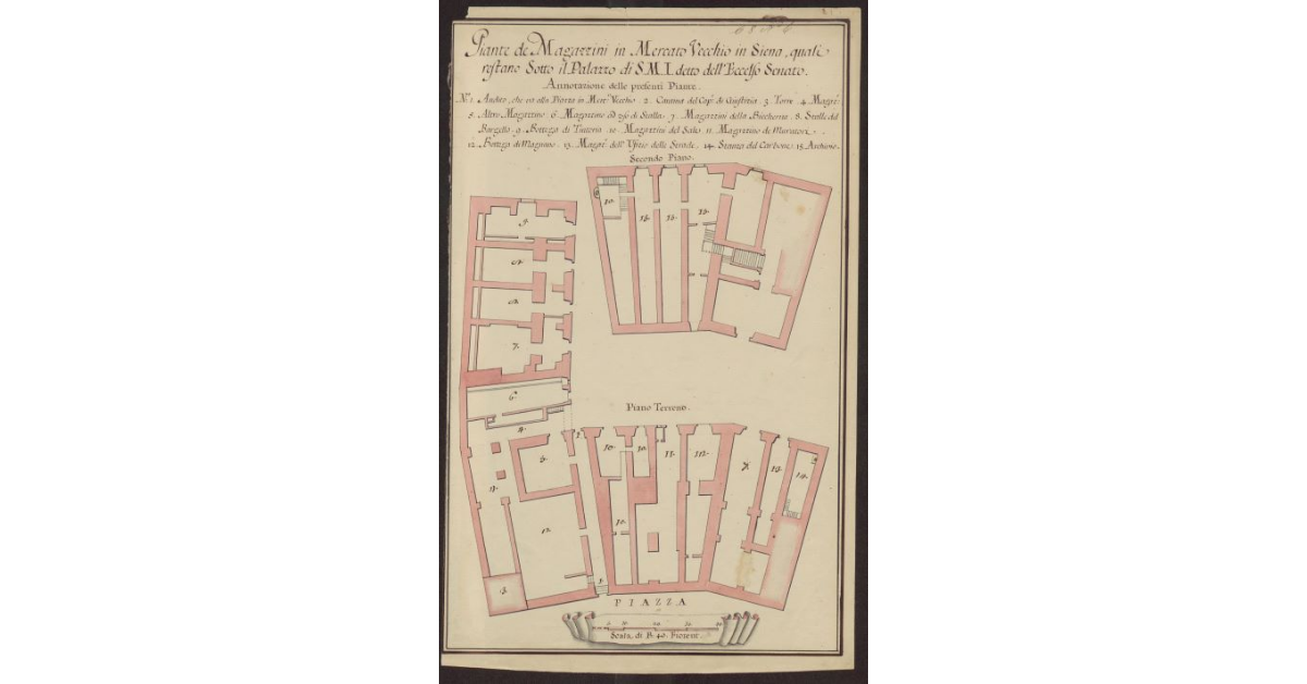 Piante de' Magazzini in Mercato Vecchio in Siena quali restano sotto il Palazzo di S.M.I. detto dell'Eccelso Senato