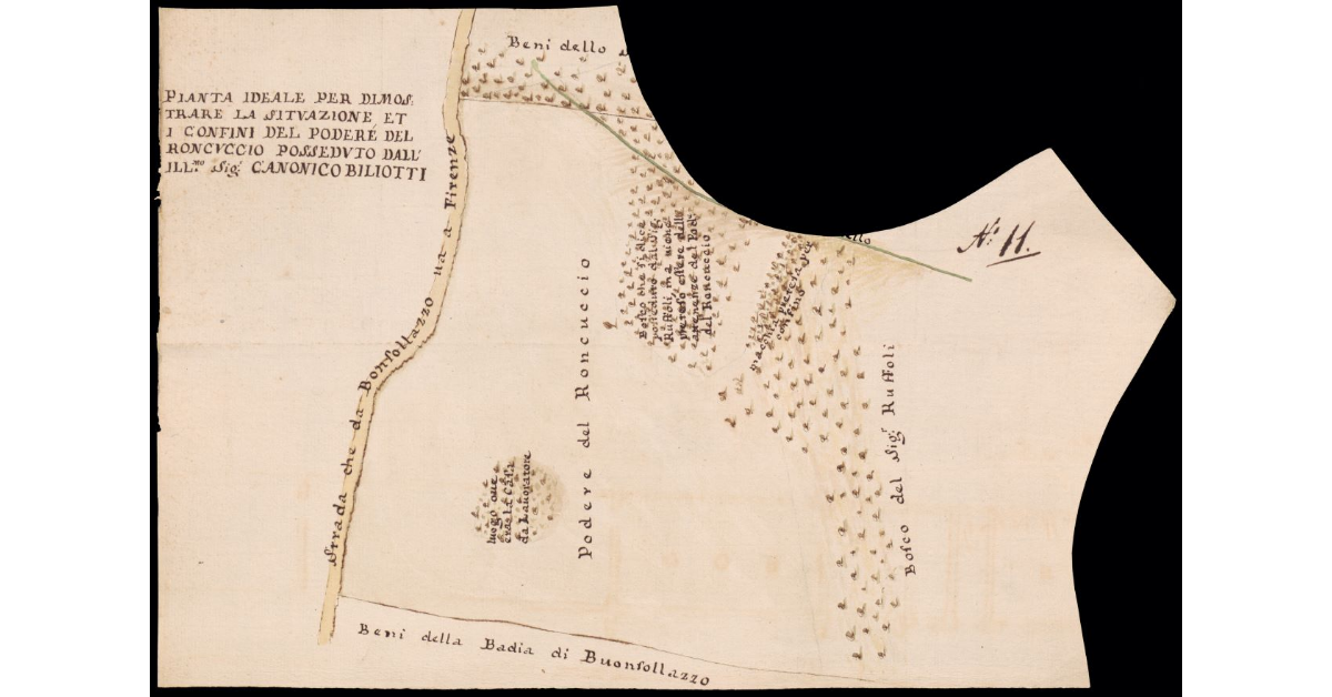 Pianta ideale per dimostrare la situazione et i confini del Podere del Roncuccio posseduto dall'Ill.mo Sig. Canonico Biliotti