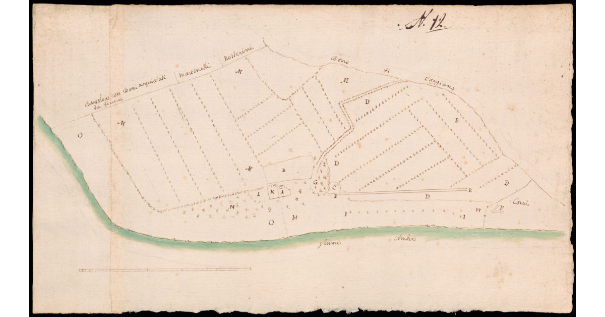 [Pianta di terreni sul Fiume Ambra]