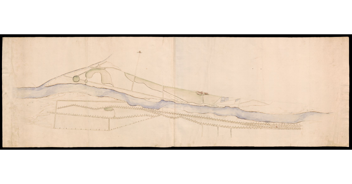 [Pianta delle Cascine di Firenze]