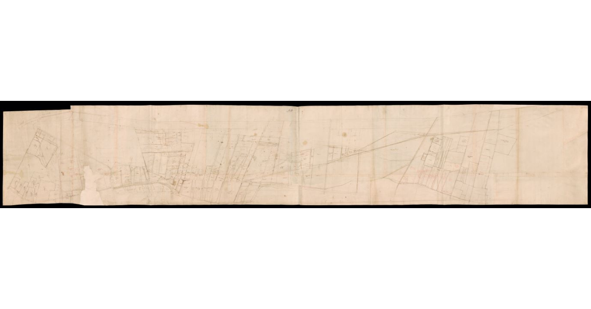 [Sbozzo di pianta di terreni posti lungo il corso del fiume Arno e del Canale Macinante a Petriolo]